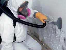 Best Mold Prevention Services  in Lyman, SC